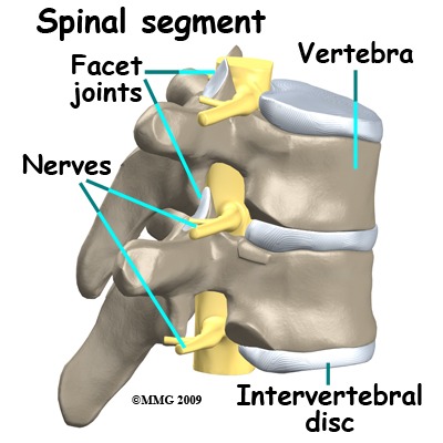 https://somertonphysio.ie/wp-content/uploads/201//0/http-www-eorthopod-com-sites-default-files-image-1.jpeg