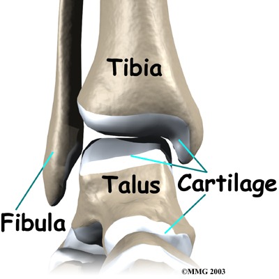 Ankle Sprains in GAA Players - Somerton Physiotherapy Clinic