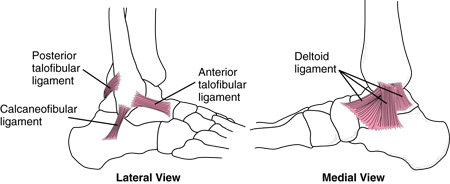 Ankle Sprains in GAA Players - Somerton Physiotherapy Clinic