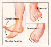 Ankle Sprains in GAA Players - Somerton Physiotherapy Clinic